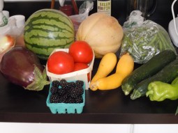 CSA goodies. Columbus, 2012.